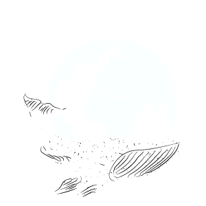 Mana'o Travel Coach