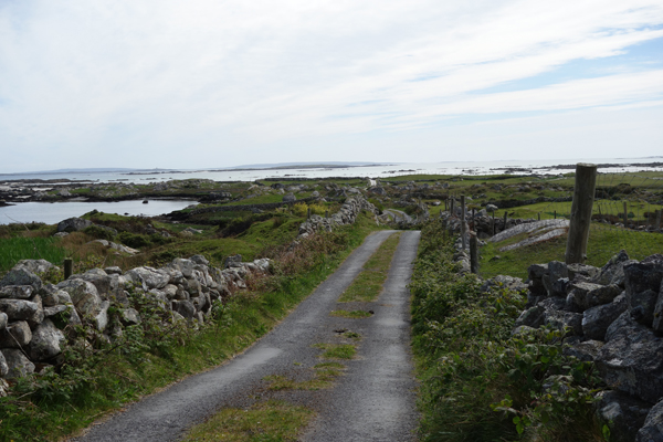 Irlande-manao-voyages-coach00955