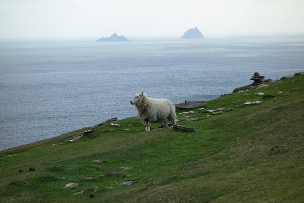 Irlande-manao-voyages-coach01175