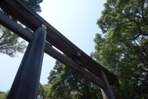 manao-tori-tokyo-japon-organisation-voyage