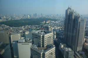 manao-gratte-ciel2-tokyo-japon-organisation-voyage