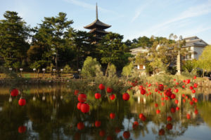 manao-kyoto-nara-japon-organisation-voyage